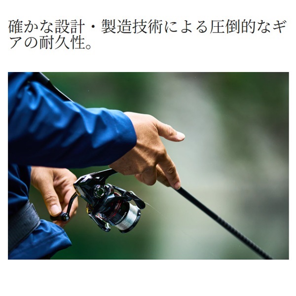 24ヴァンフォード